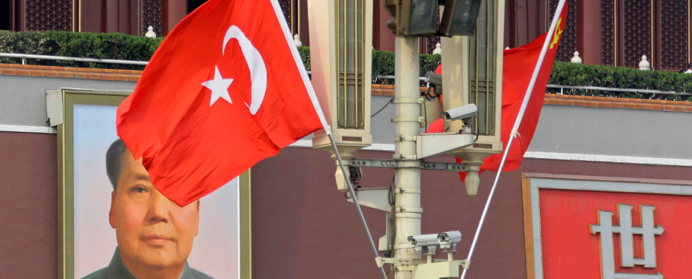 Die Rolle der Türkei in Asien