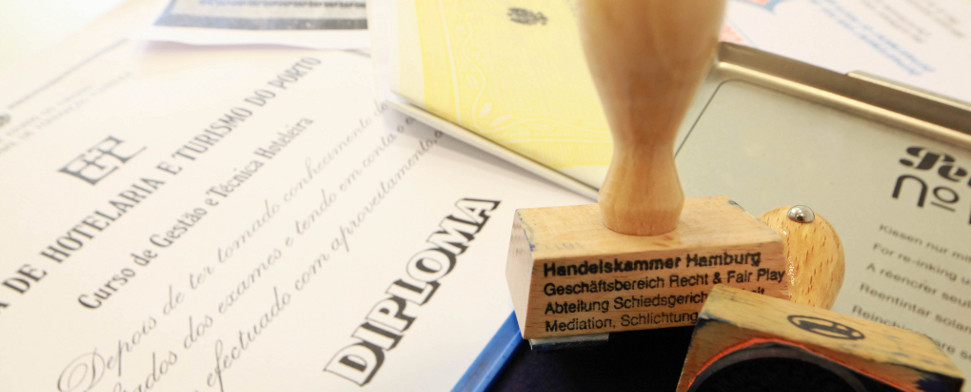 Einwanderungsgesetz: „Den Anstoß hätten nicht die Flüchtlinge bilden dürfen“