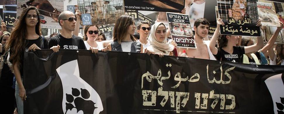 Muslime und Juden marschieren gemeinsam für Tierrechte