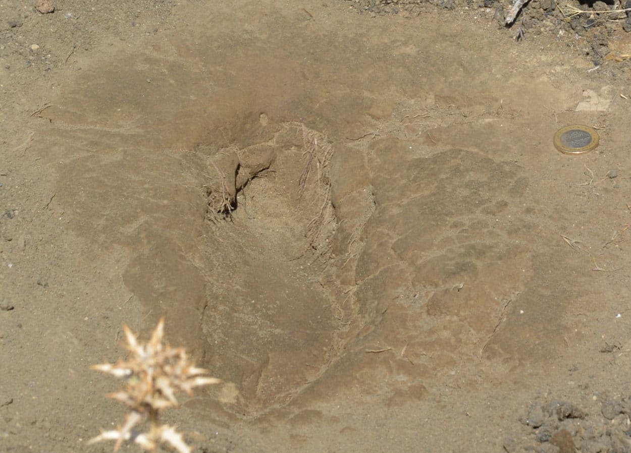 1969 entdeckte menschliche Fußspuren in der Türkei 11.000 Jahre alt