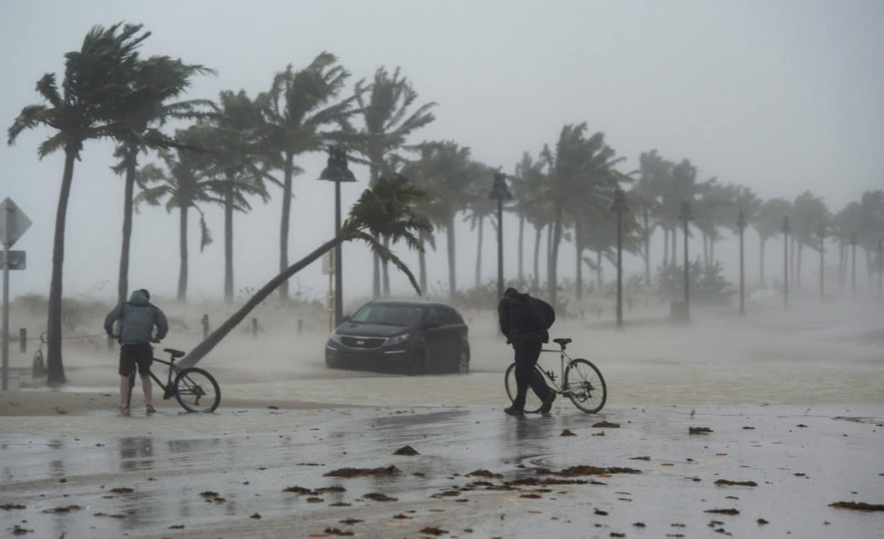 USA: Hurrikan «Irma» löst Überflutungen aus
