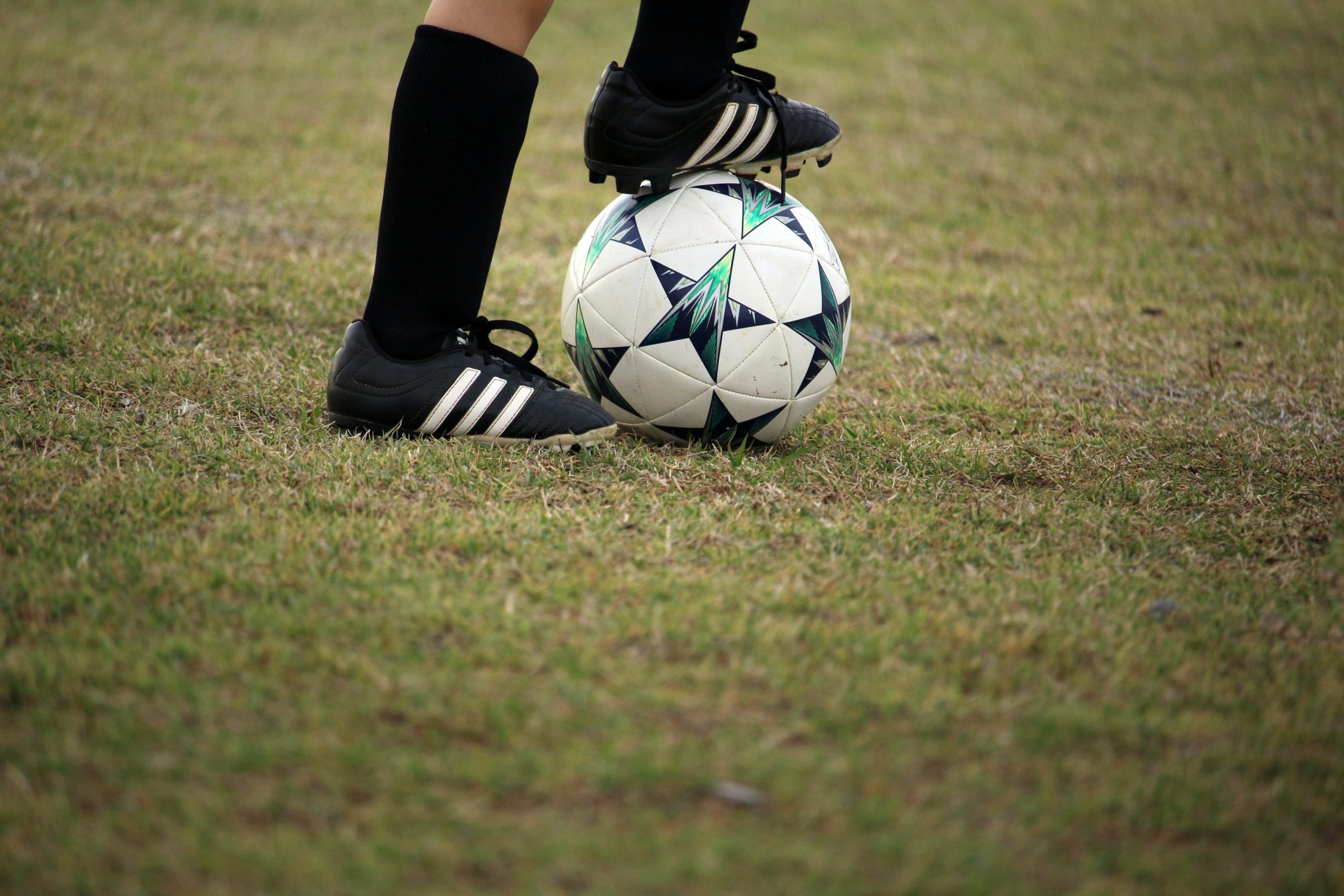 Frauenfußball: Türkiyemspor Berlin feiert Aufstieg mit „gemischten Gefühlen“