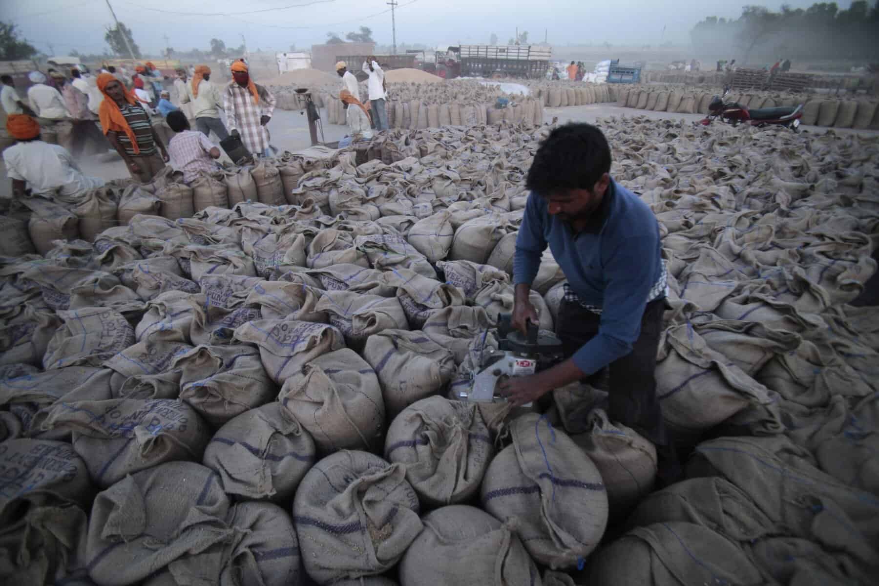 Vor kurzem erstmals in die Türkei geliefert: Indien verbietet Weizenexporte