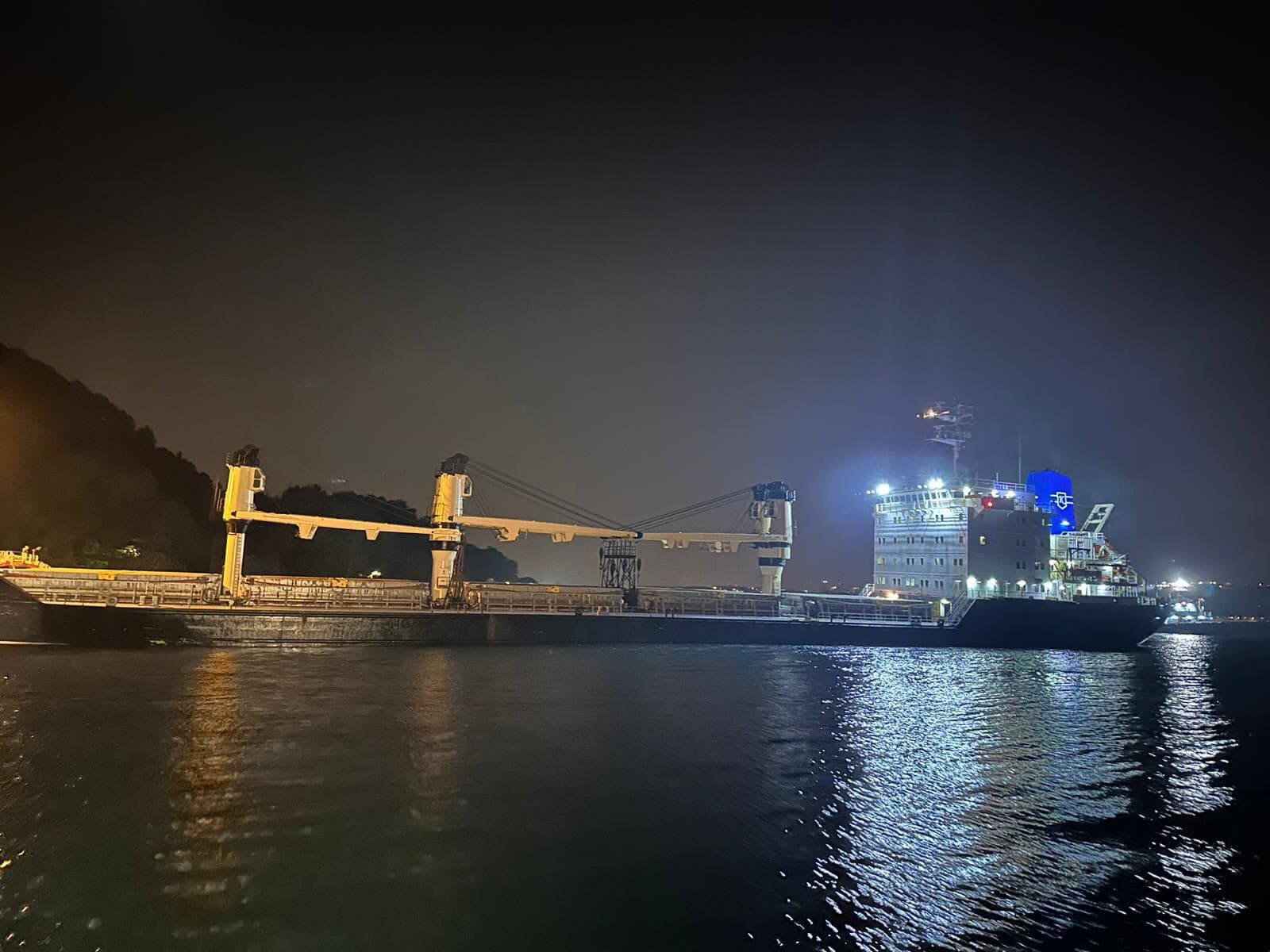 Bosporus vorübergehend gesperrt: Erneut Frachtschiff auf Grund gelaufen