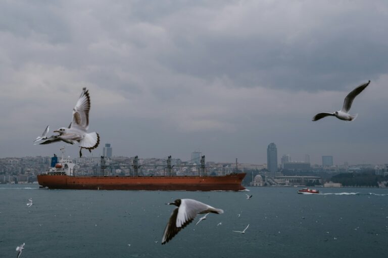 Wie die Türkei Europa mit Gas versorgen will