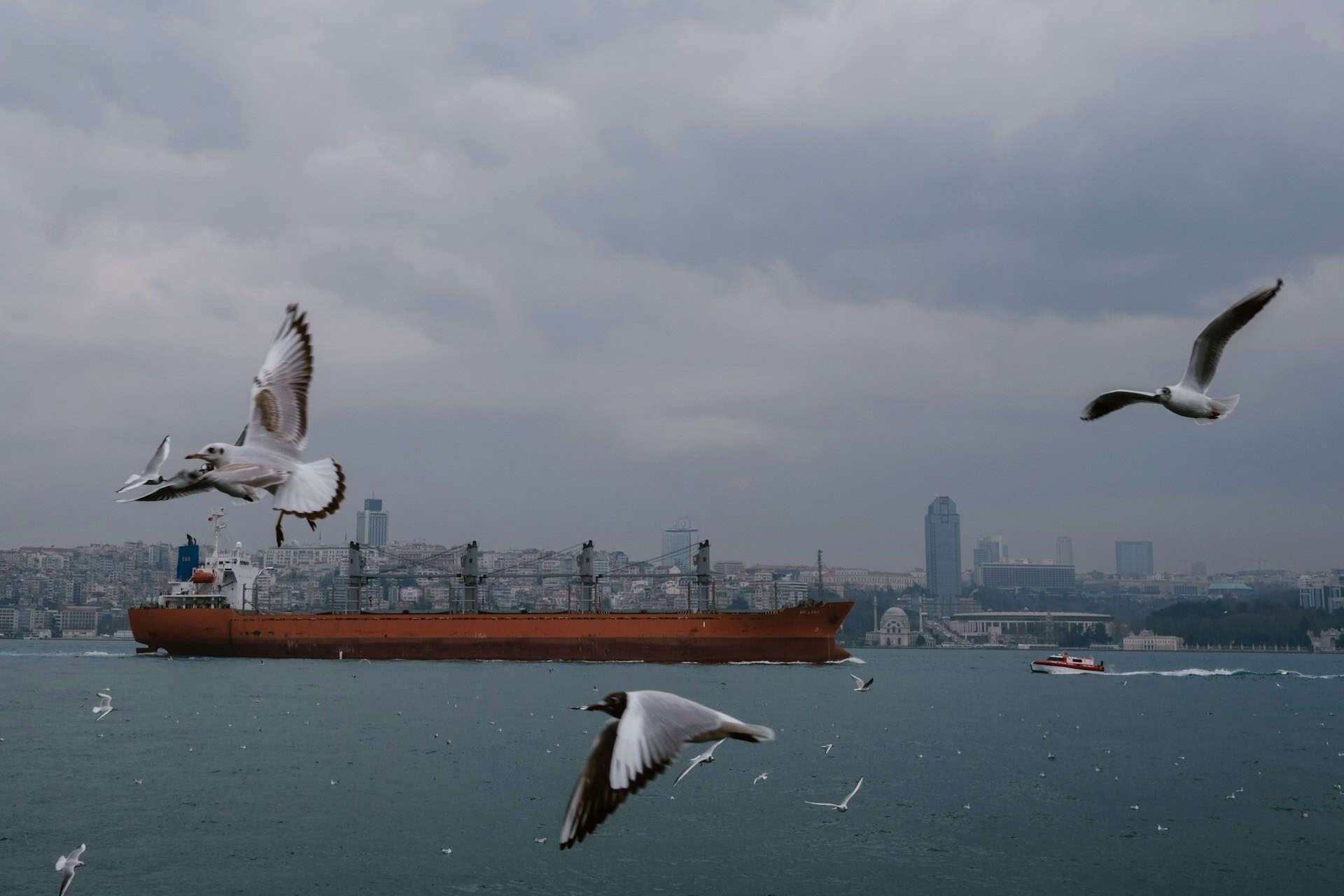 Wie die Türkei Europa mit Gas versorgen will Ein Gastanker am Bosporus. Foto: Filipp Romanovski - Unsplash