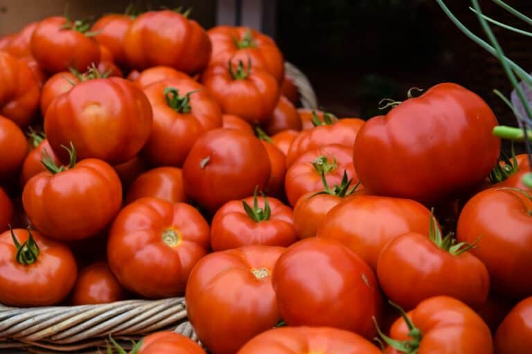 Skandal bei türkischem Lidl-Lieferanten: Was läuft falsch bei Agrobay?