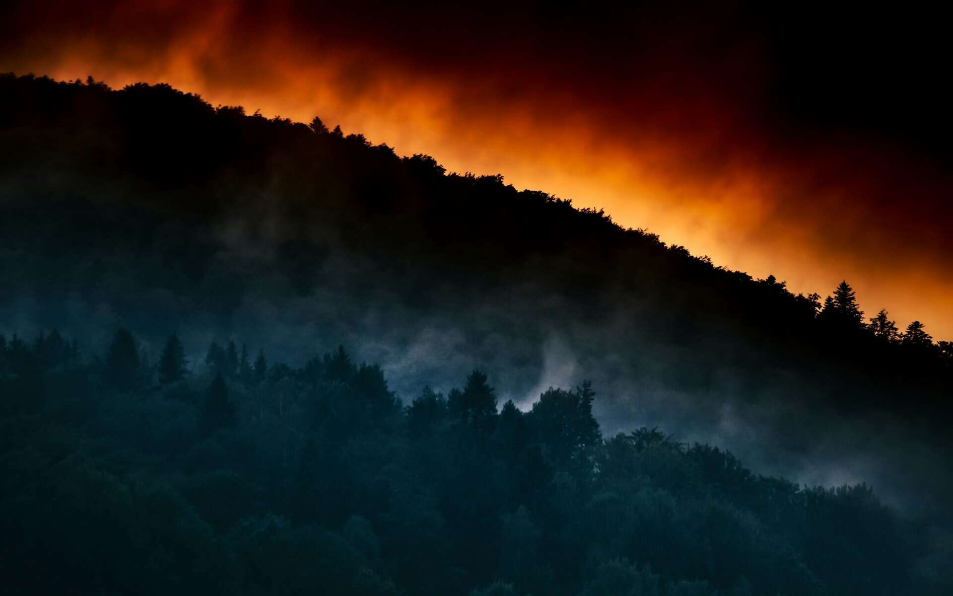 Westtürkei: Schiffsverkehr wegen Waldbrandes zeitweise unterbrochen
