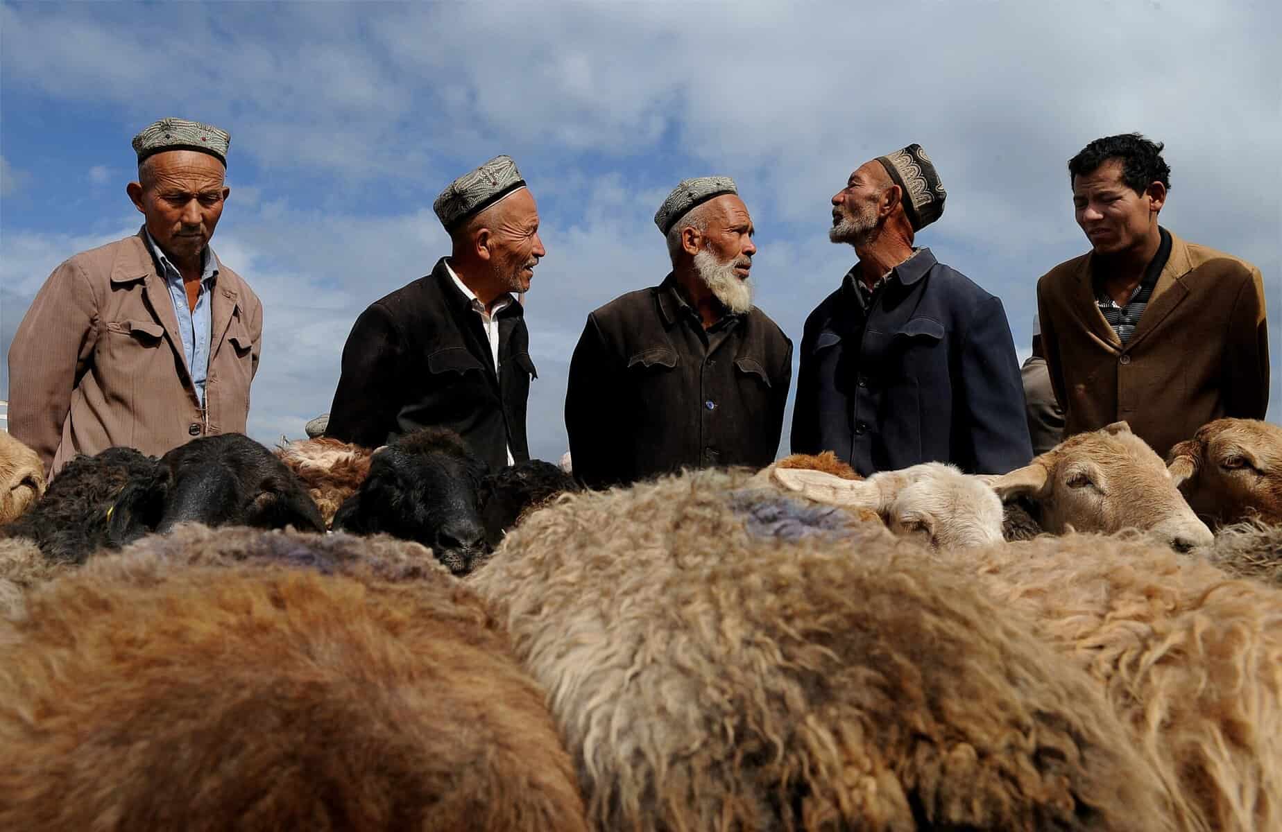 Uiguren ausspioniert? Mehrere Verhaftungen in Istanbul
