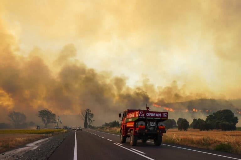 Großflächiger Waldbrand in der Türkei: 350 Hektar zerstört