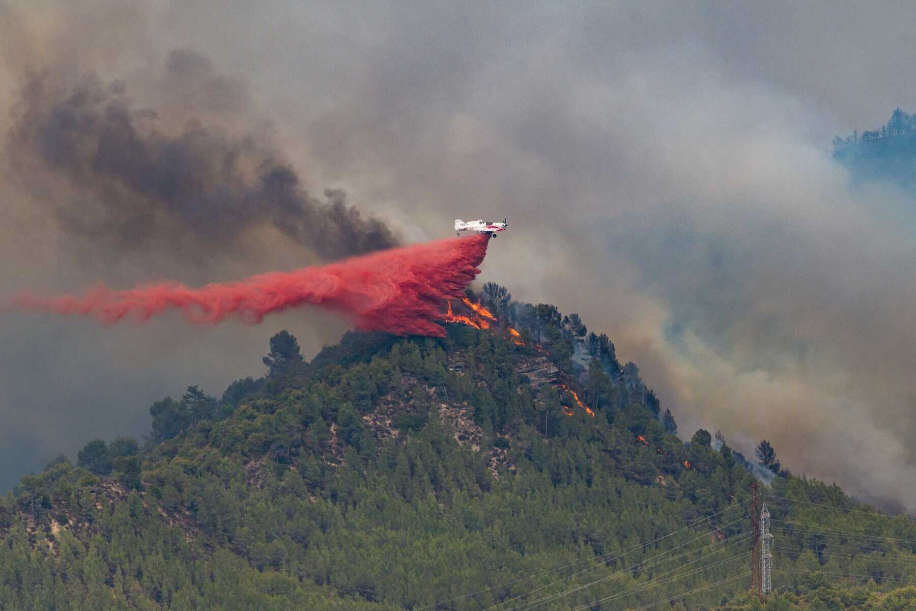 Waldbrände in Europa: Antalya wappnet sich dieses Mal frühzeitig